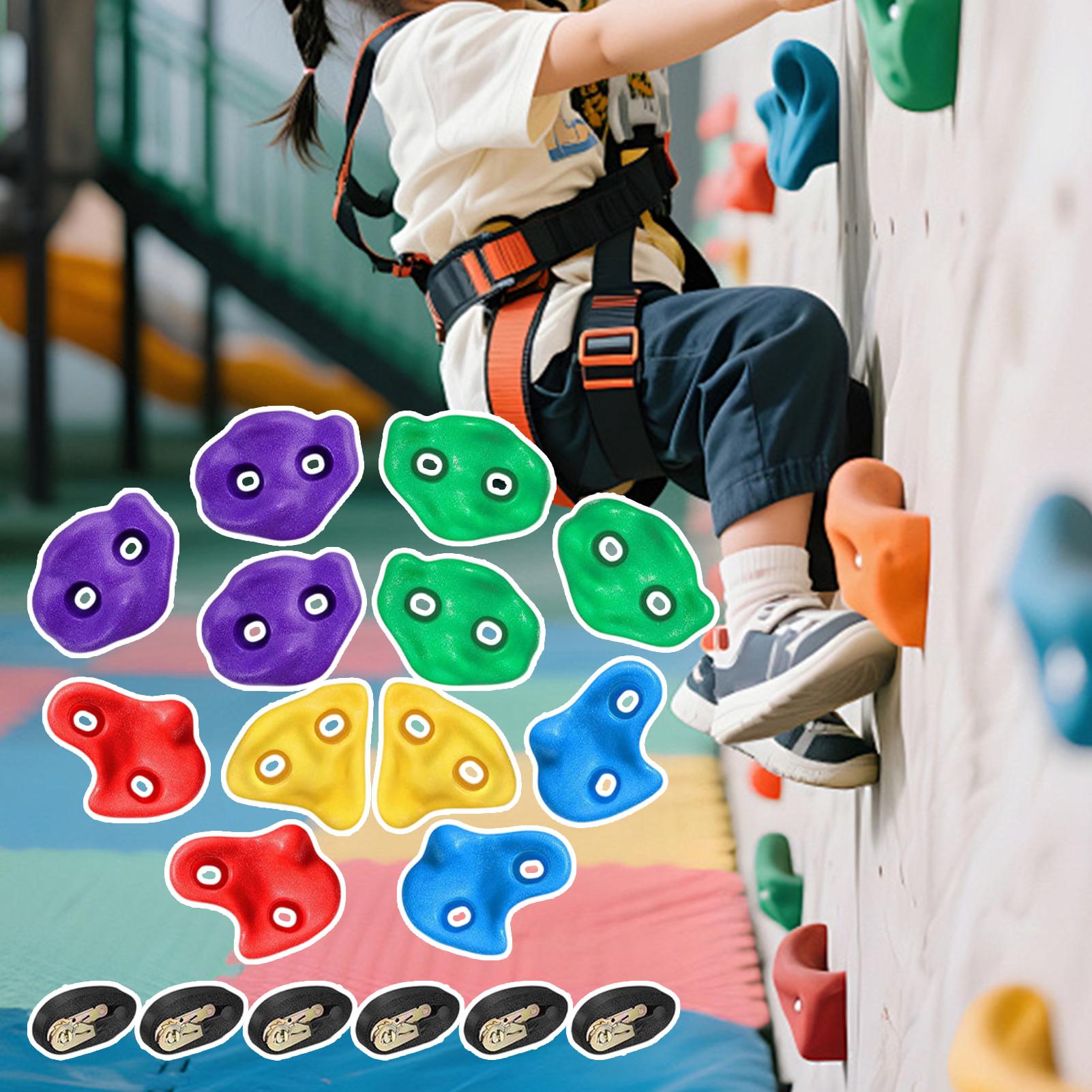 나무 등반 장비 조절 가능 경량 장애물 코스 훈련 소년 - Outdoor Adventure Store 리뷰 및 가격