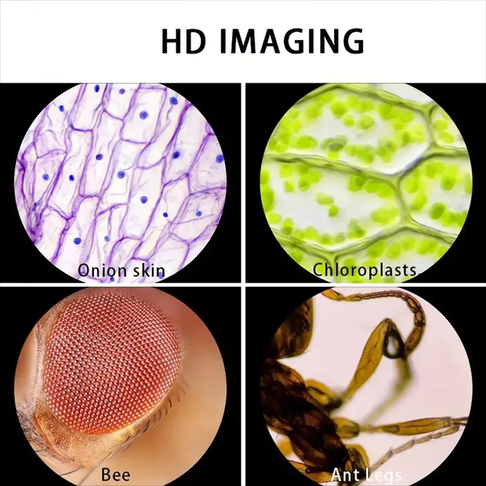 어린이용 포켓 현미경 |     곤충과 식물을 눈에 띄 - Outdoor Adventure Microscope 리뷰 및 가격